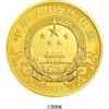 2024中国甲辰（龙）年500克金质纪念币